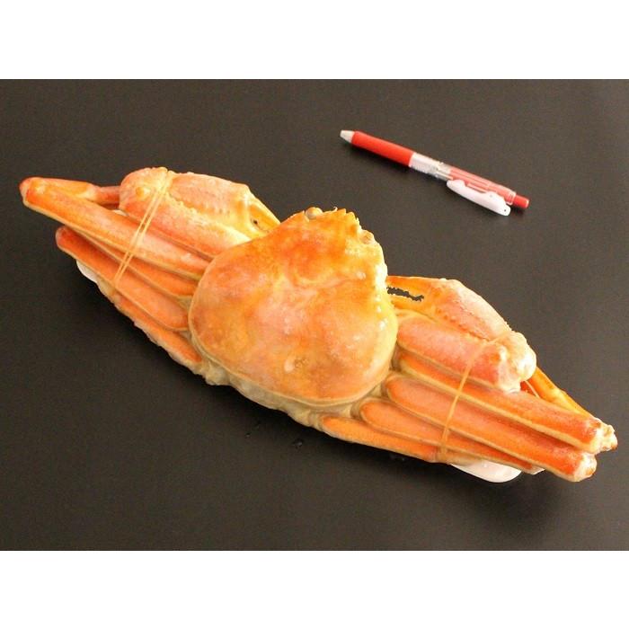 ズワイガニ 姿 4.5kg (6-7尾) メガ盛り 食べ放題 ボイル 冷凍 ギフト 蟹 かに カニ味噌 堅蟹 ずわい蟹 5kg