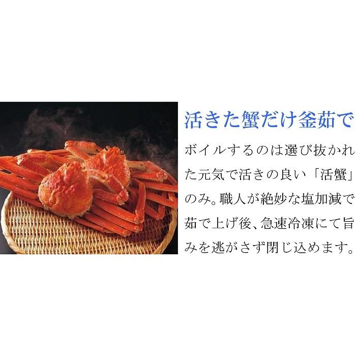ズワイガニ 姿 4.5kg (6-7尾) メガ盛り 食べ放題 ボイル 冷凍 ギフト 蟹 かに カニ味噌 堅蟹 ずわい蟹 5kg