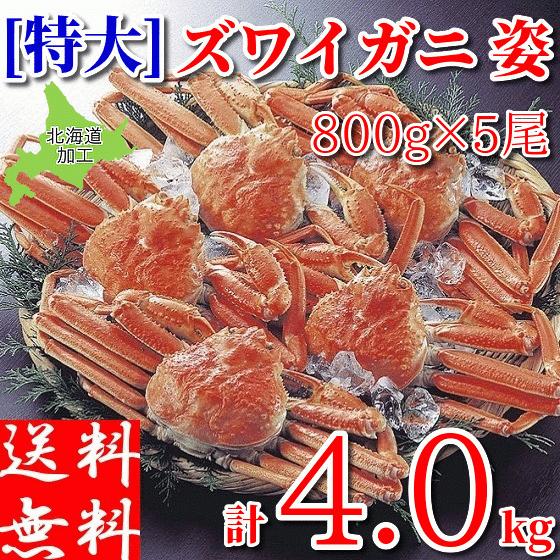 ボイルズワイガニ 姿 特大 4kg (800g×5尾) メガ盛り 業務用食材 冷凍
