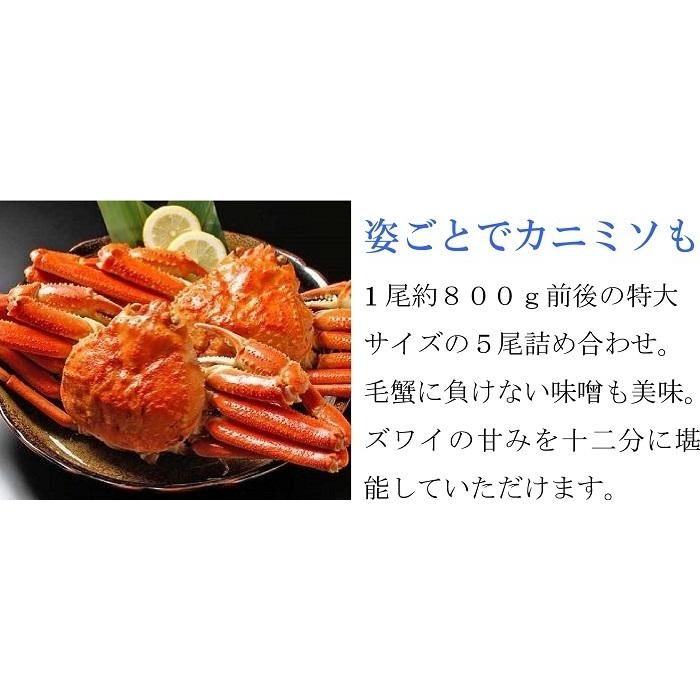 ボイルズワイガニ 姿 特大 4kg (800g×5尾) メガ盛り 業務用食材 冷凍