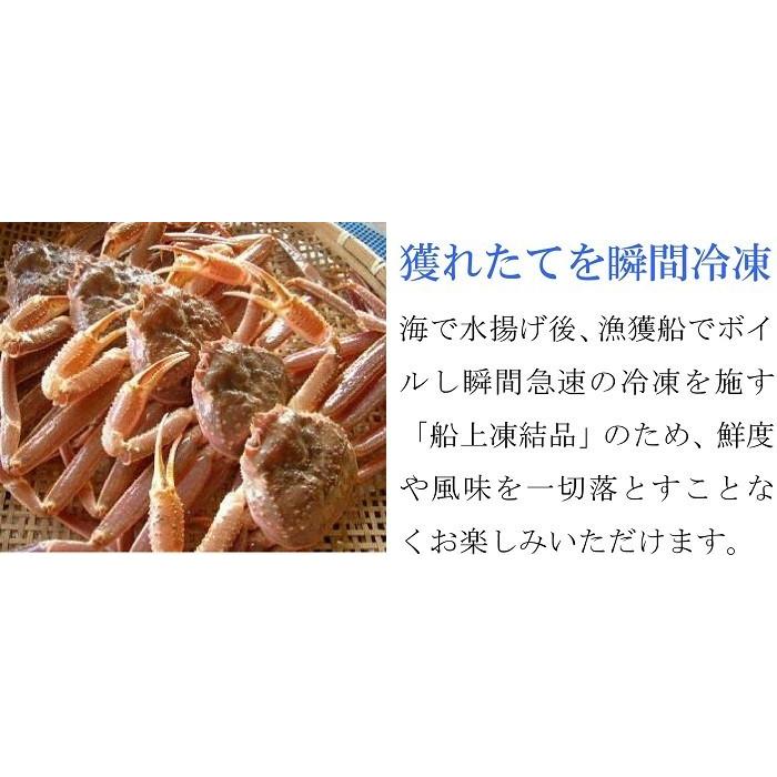 ボイルズワイガニ 姿 特大 4kg (800g×5尾) メガ盛り 業務用食材 冷凍