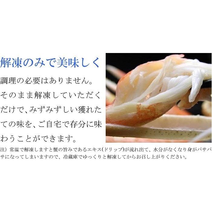 ボイルズワイガニ 姿 特大 4kg (800g×5尾) メガ盛り 業務用食材 冷凍