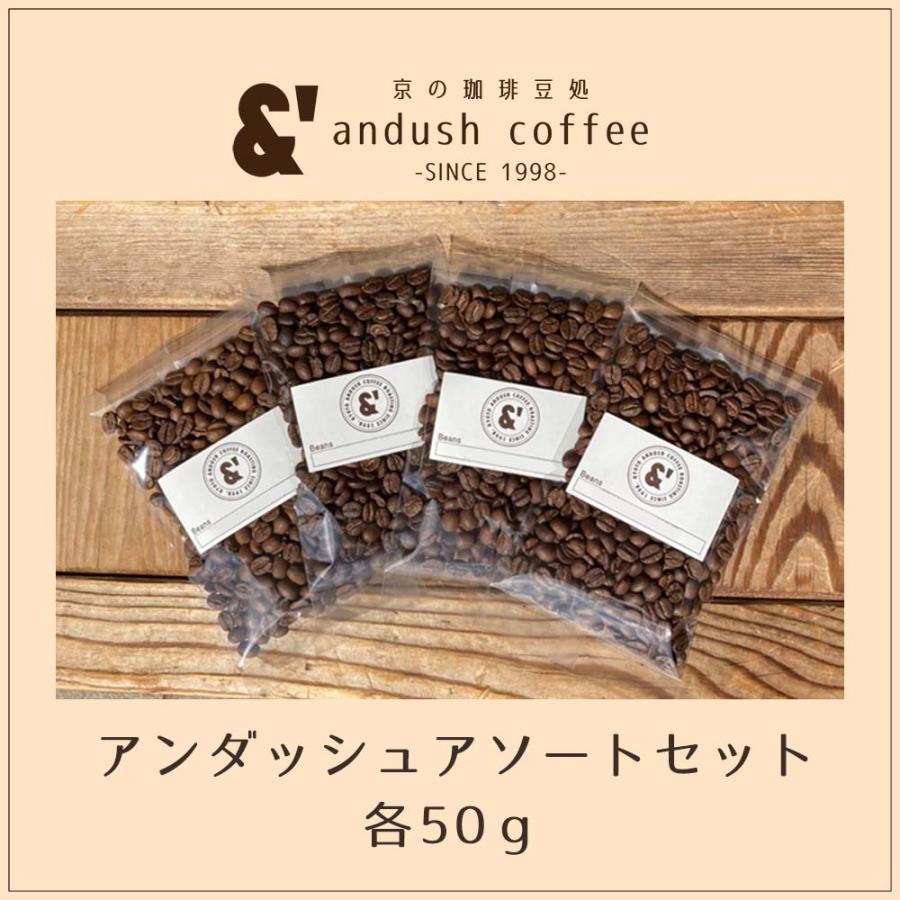 アソートセット 4種で200g ポイント消化 コーヒー豆 珈琲豆 アン アソートセット 4種で200g ポイント消化 コーヒー豆 珈琲豆 アン