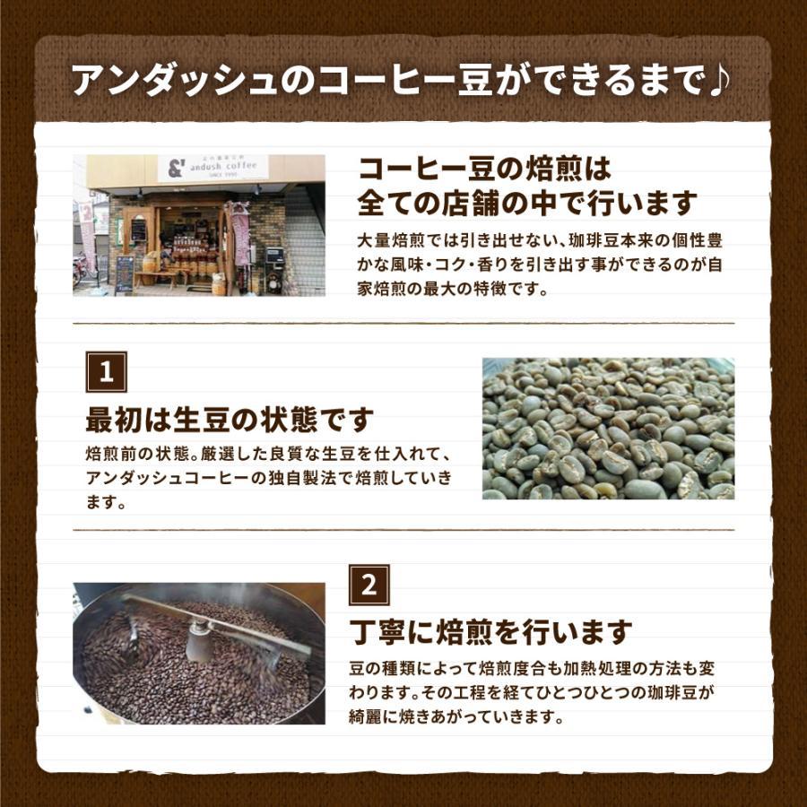 エクアドル ロハ 1200g コーヒー ハイロースト スペシャルティランク 送料込み 珈琲豆 コーヒー豆 通販 京都 コーヒーロースター アンダッシュコーヒー おすすめ_3