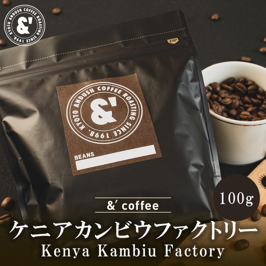ケニアカンビウファクトリー 100g ミディアムローストトップ