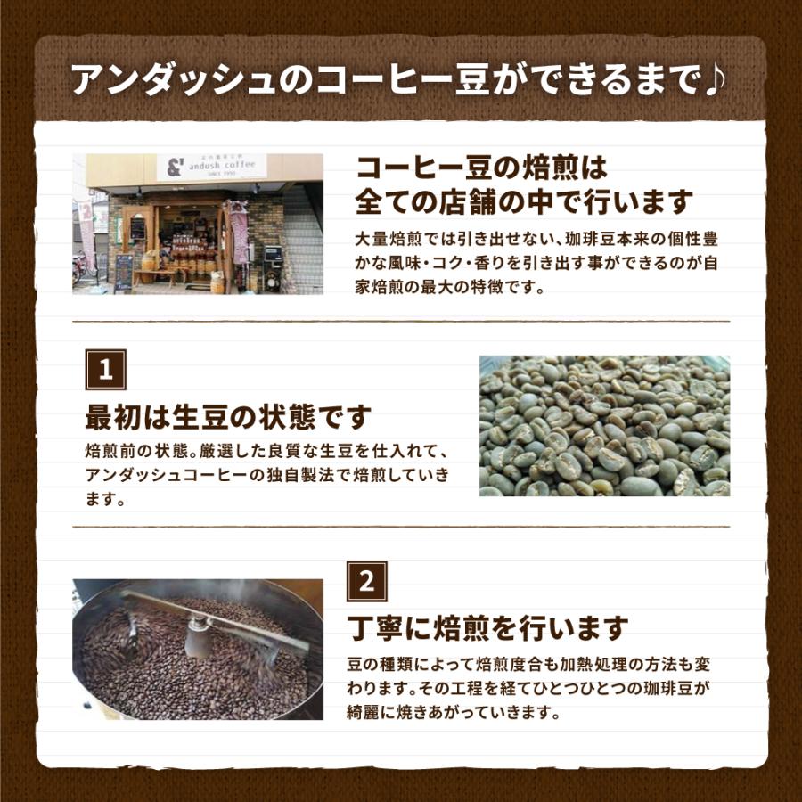 コーヒー豆 福袋 送料無料 珈琲豆 5月 月替わりセット 300g 約30杯分 焙煎後すぐ発送 コーヒー 豆 爆買 |  | 03