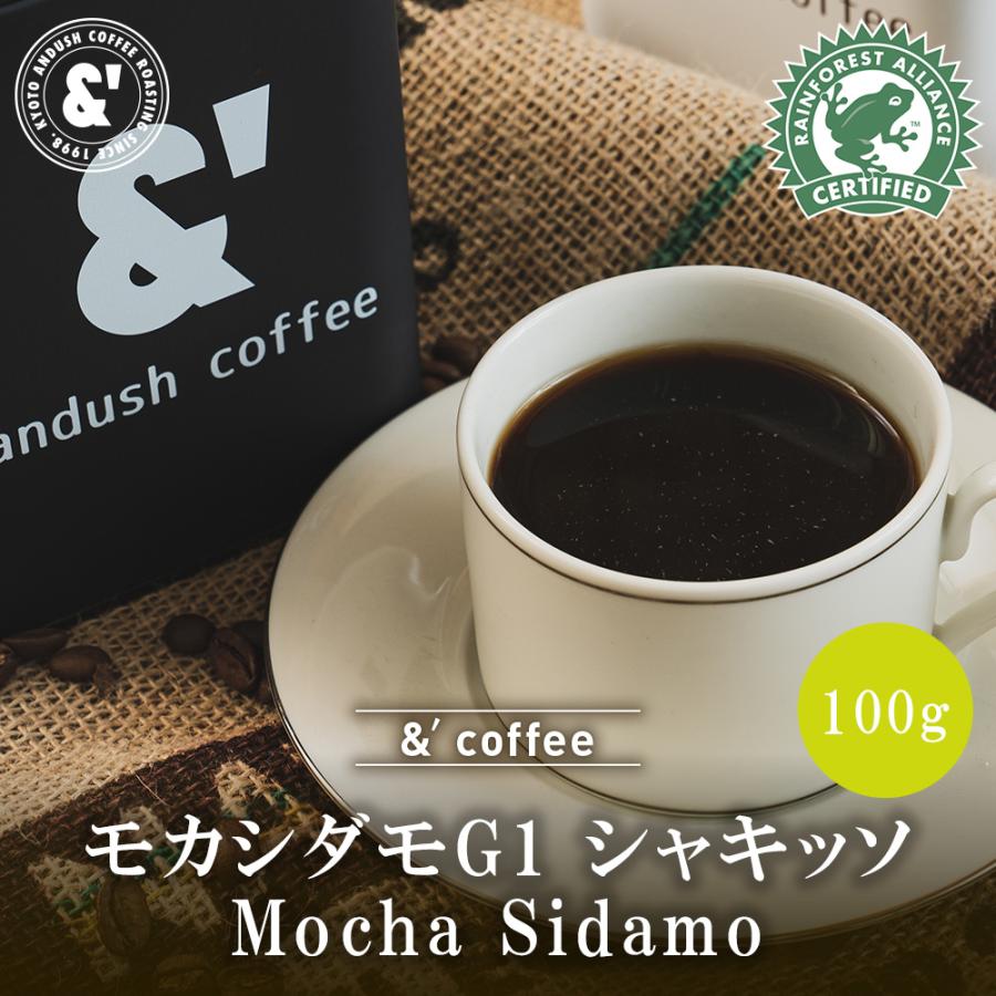 オープニング レギュラーコーヒー豆 モカ シダモ 300g Materialworldblog Com