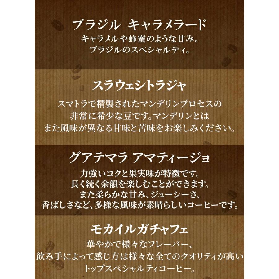 コーヒー豆 珈琲豆 お試し お試しセット お一人様１回限り 4種で200g ポイント消化 アンダッシュコーヒー おためし コーヒー 豆 爆買 |  | 01
