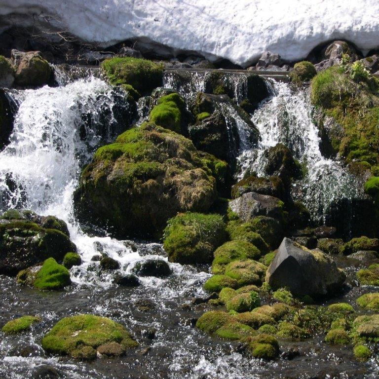 北海道羊蹄山名水珈琲ゼリー詰合せ ギフト プレゼント ご褒美 贈り物 贈答品  送料無料｜gurumeokoku｜02