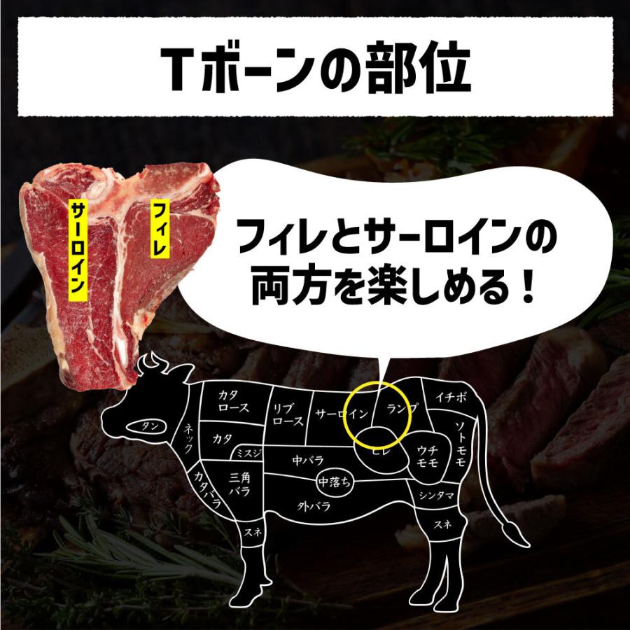 バーベキュー Tボーンステーキ 約1kg(複数枚組み合わせ) 塊肉 ヒレ