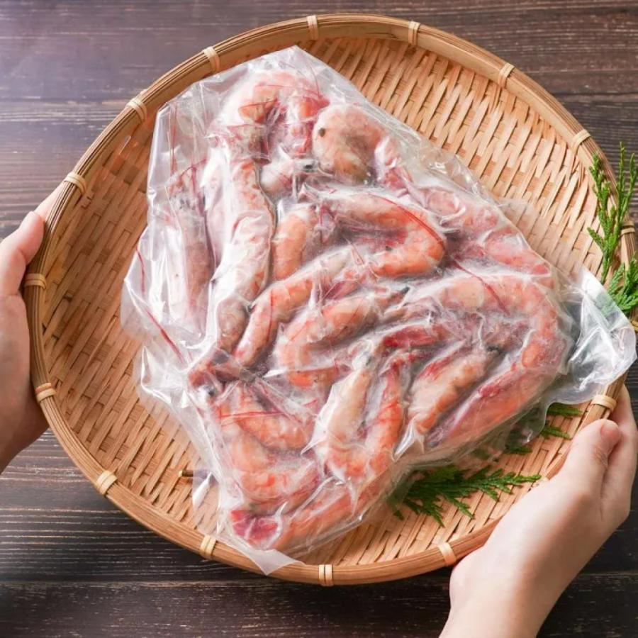 鹿児島 タカエビ 約1200g 薩摩の甘海老 アマエビ 甘エビ 刺身用 津曲