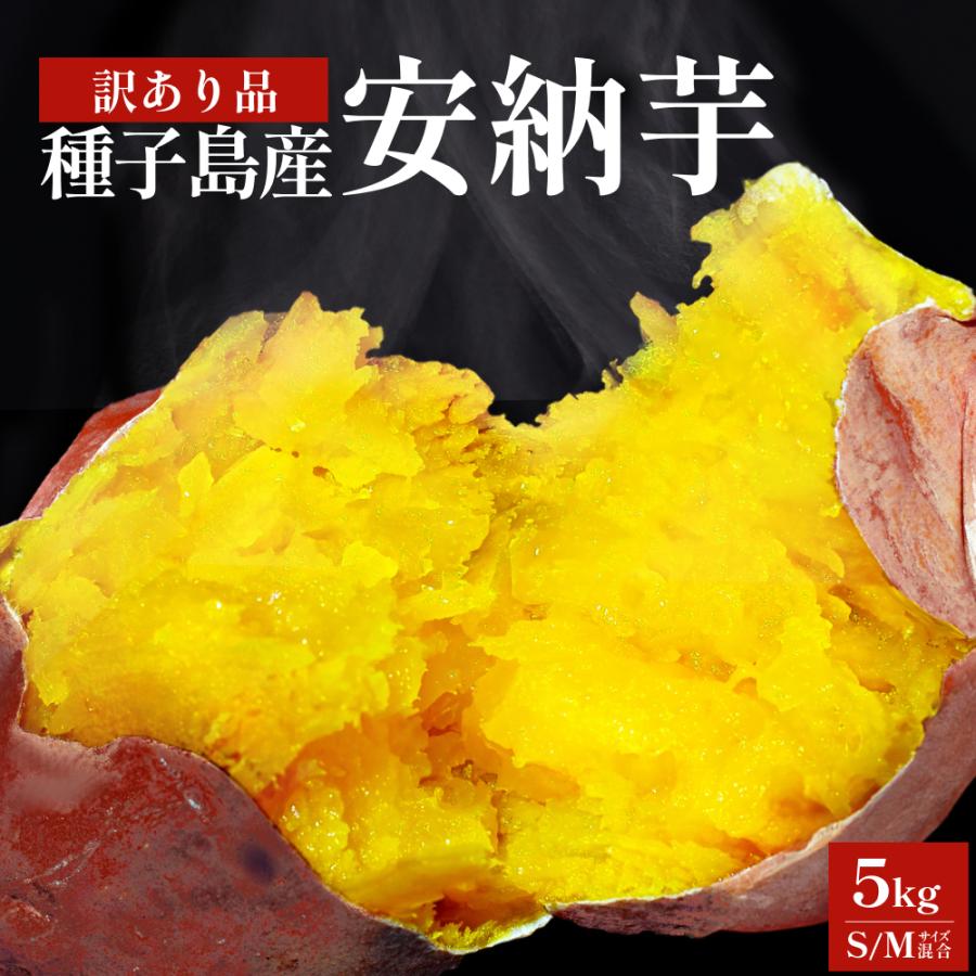 送料無料 訳あり 種子島 安納芋 5kg 家庭用 焼き芋 鹿児島 送料無料 訳あり 種子島 安納芋 5kg 家庭用 焼き芋 鹿児島