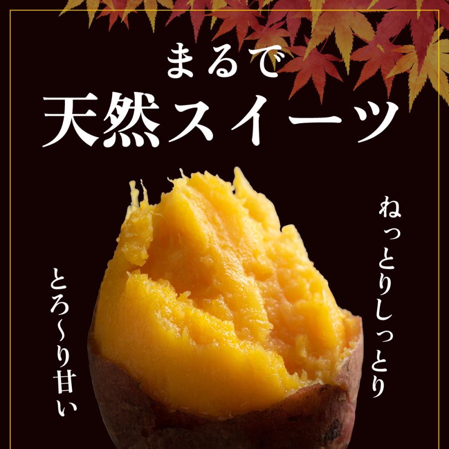 送料無料 訳あり 種子島 安納芋 5kg 家庭用 焼き芋 鹿児島 送料無料 訳あり 種子島 安納芋 5kg 家庭用 焼き芋 鹿児島