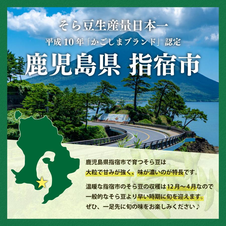 0.5g増量キャンペーン中！合計2.5kgでお届け！】そら豆 2kg 生産量日本