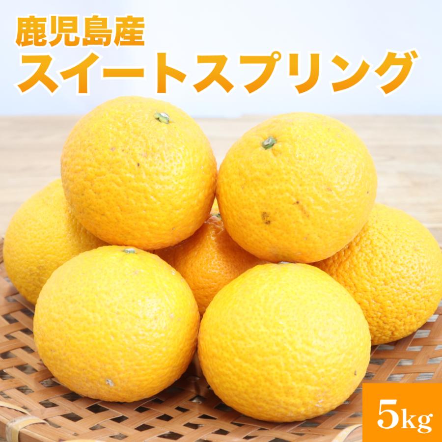 鹿児島県 スイートスプリング 5kg ミカン みかん 蜜柑 柑橘系 柑橘