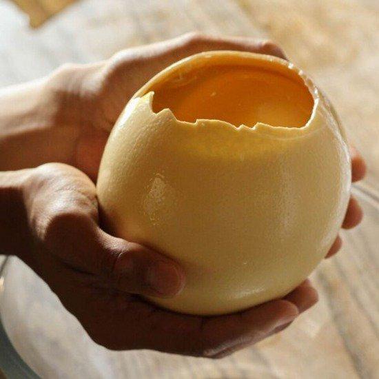 ビッグバード・カピリナ 霧島産ダチョウ卵 約1.2kg以上 鹿児島県産 ご