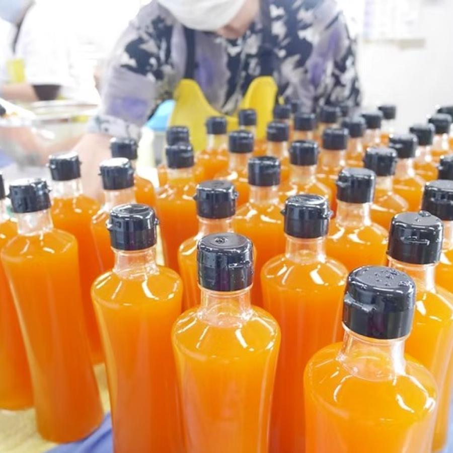 鹿児島県産 パッションフルーツ大満喫 パッションジュース 3本セット