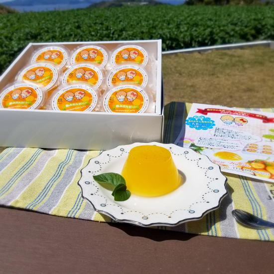 鹿児島県産 島みかん ゼリー 9個入 お菓子 洋菓子 ギフト セット