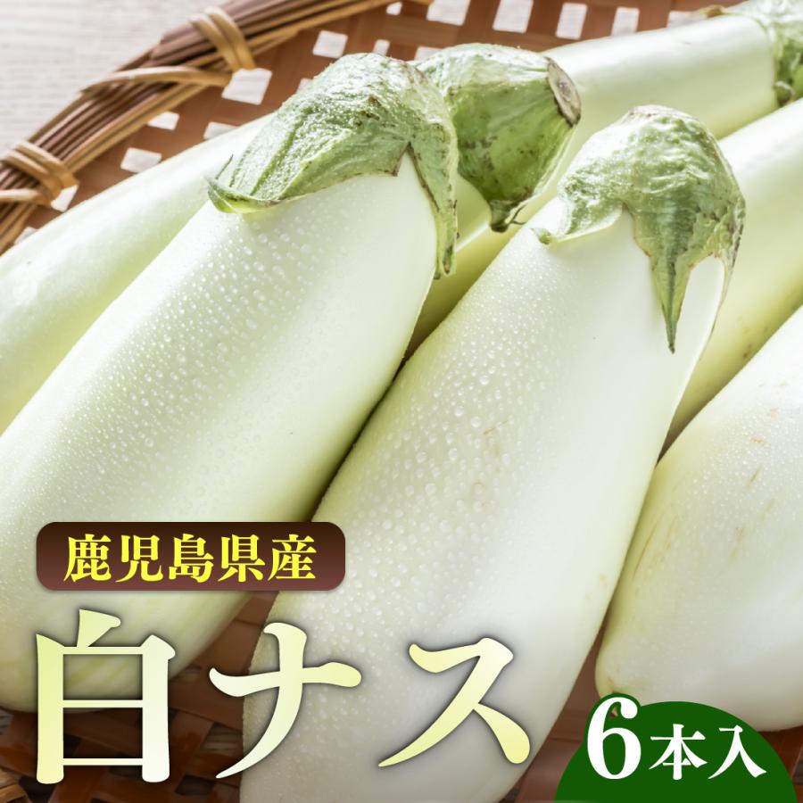 鹿児島 白なす 6本入り とろーり 旨ナス 白ナス ナス なすび 茄子