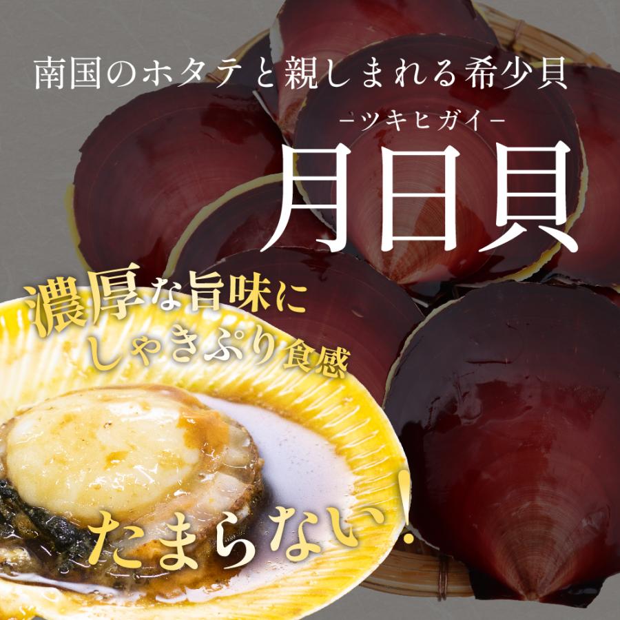 送料無料 日置市 吹上浜産 月日貝 ツキヒガイ 12枚入 鹿児島 佐々 贈答