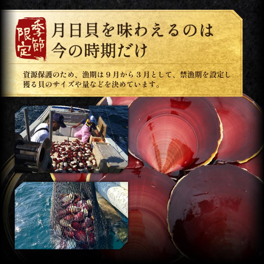 送料無料 日置市 吹上浜産 月日貝 ツキヒガイ 12枚入 鹿児島 佐々 贈答