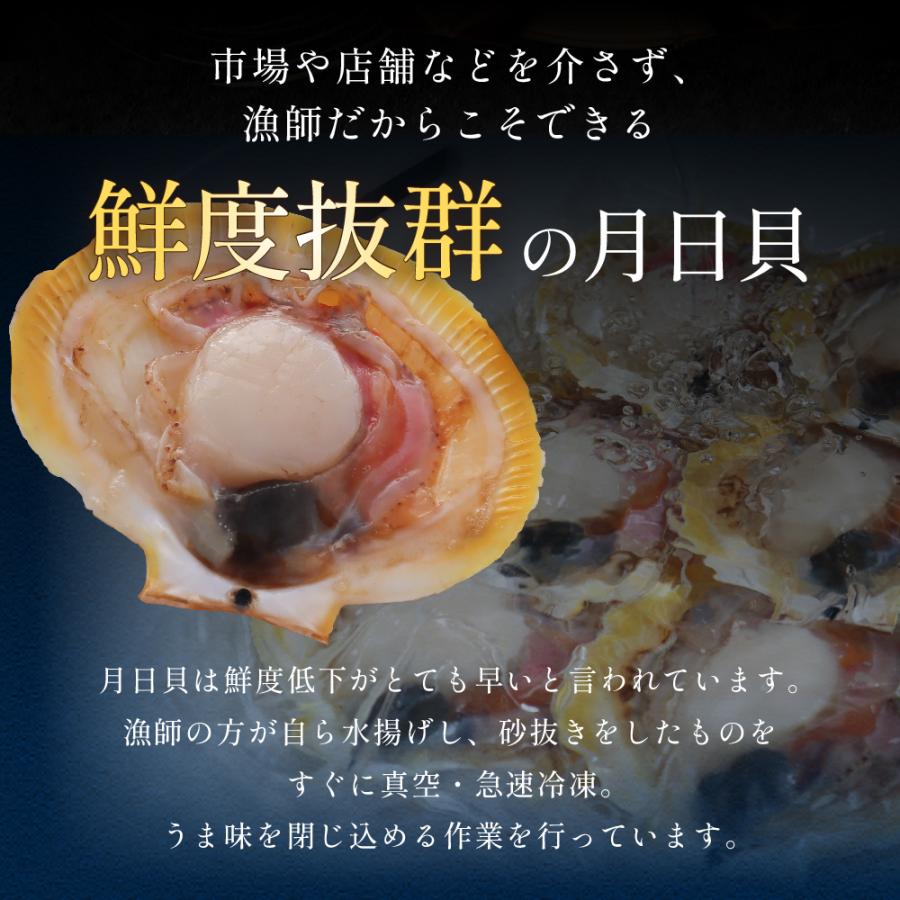 爆買 送料無料 日置市 吹上浜産 月日貝 ツキヒガイ 12枚入 鹿児島 佐々