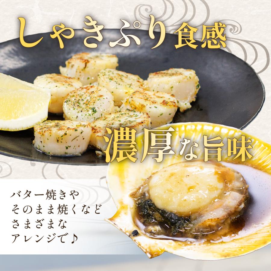 送料無料 日置市 吹上浜産 月日貝 ツキヒガイ 12枚入 鹿児島 佐々 贈答