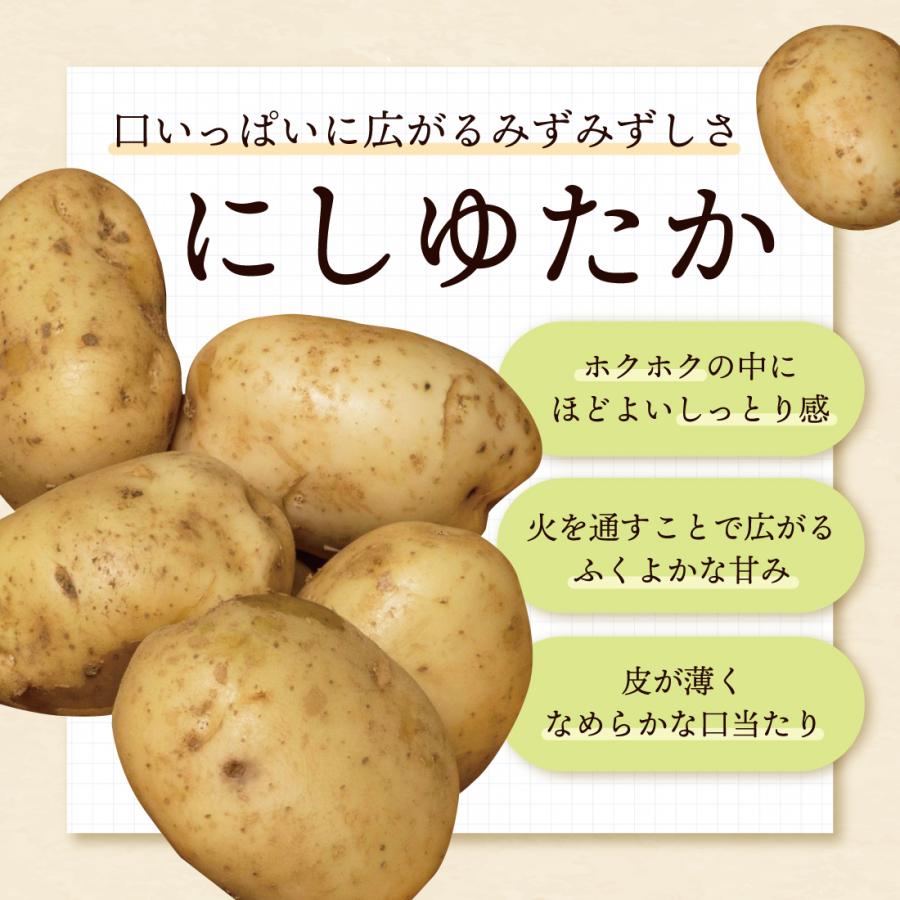 徳之島産 赤土じゃがいも「にしゆたか」約10kg 新じゃがいも