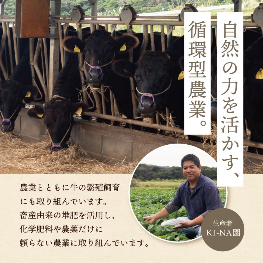 徳之島産 赤土じゃがいも「にしゆたか」約10kg 新じゃがいも