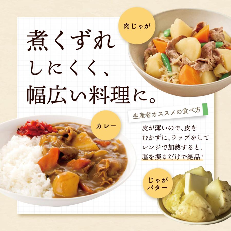 徳之島産 赤土じゃがいも「にしゆたか」約10kg 新じゃがいも