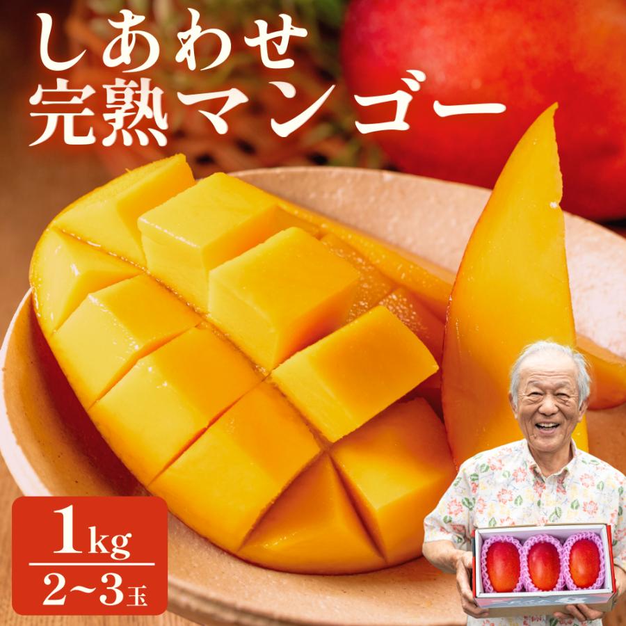 完熟マンゴーオークション用 爆買 マンゴーの森 鹿児島「しあわせ完熟マンゴー」贈答用（約1kg・2