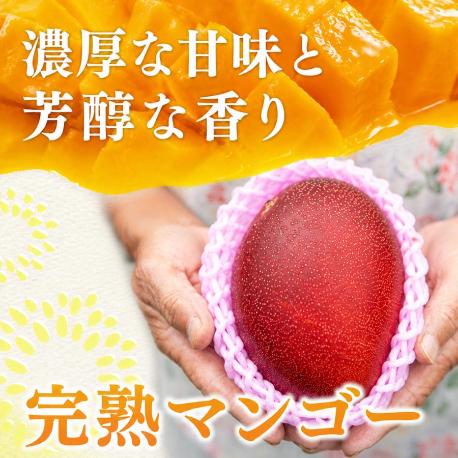マンゴーの森 鹿児島「しあわせ完熟マンゴー」贈答用（約1kg・2〜3玉