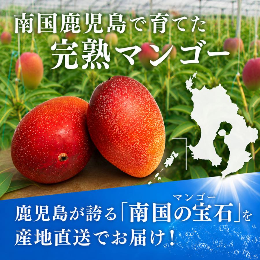 マンゴーの森 鹿児島「しあわせ完熟マンゴー」贈答用（約1kg・2〜3玉