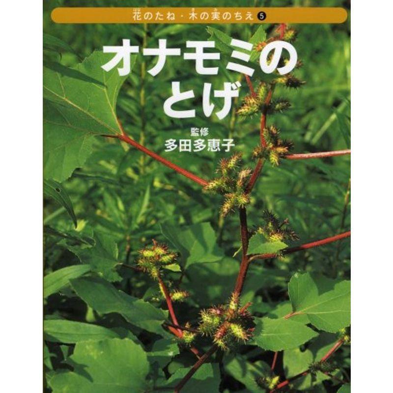 オナモミのとげ 花のたね 木の実のちえ ぐるりんタウン ヤフー店 通販 Yahoo ショッピング