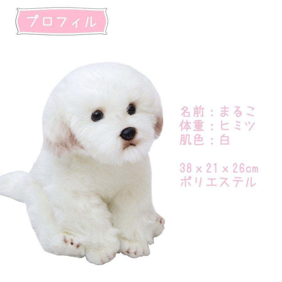 【新品】 犬 マルチーズ ぬいぐるみ 作家 ぬいぐるみ パピマル ぬいぐるみ 楽天市場】ぬいぐるみ マルチーズ 犬のぬいぐるみ リアル