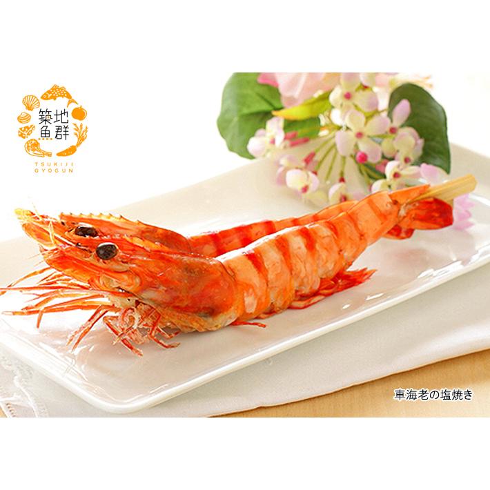 上がり車海老500g 国産 冷蔵便 : 築地魚群 - 通販 - Yahoo!ショッピング
