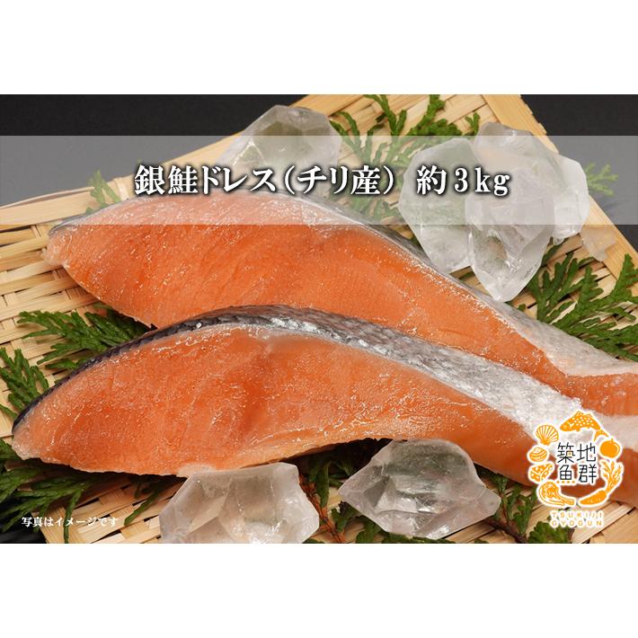 銀鮭ドレス（チリ産）約3kg 冷凍便 : 築地魚群 - 通販 - Yahoo