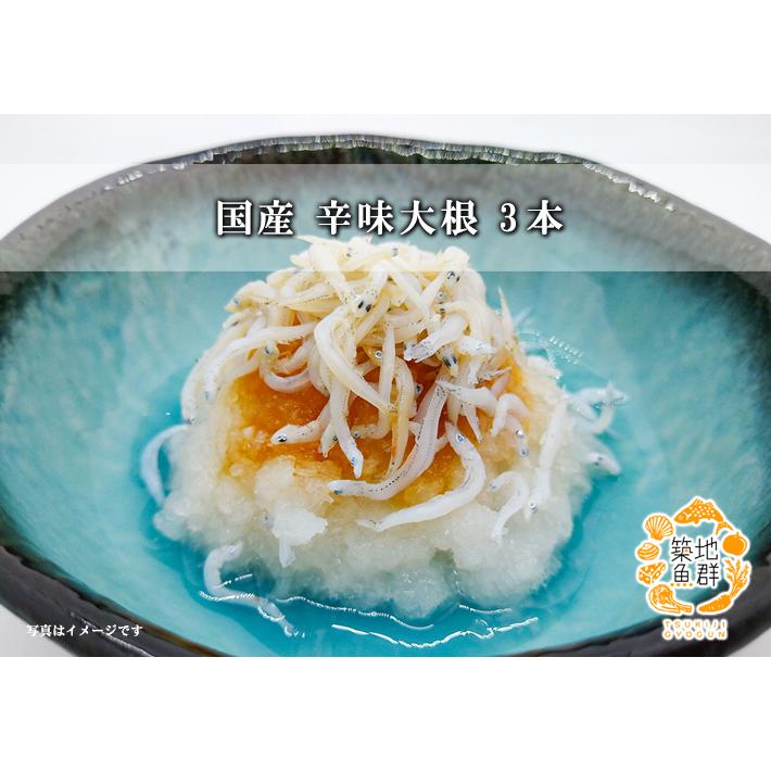 辛味大根3本 国産 冷蔵便 : 築地魚群 - 通販 - Yahoo!ショッピング