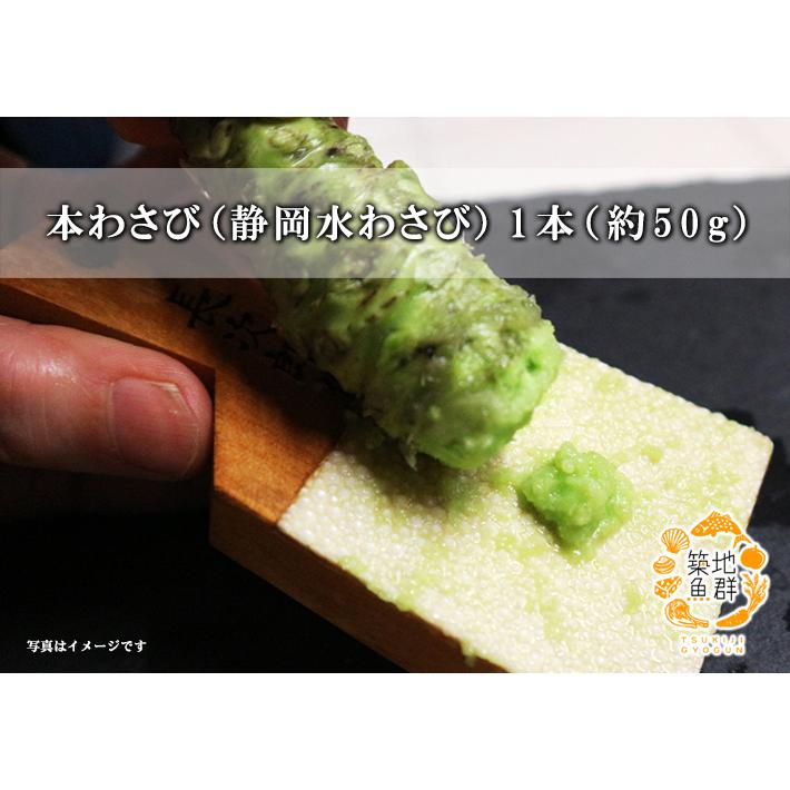本わさび（静岡水わさび）1本（約50g） 冷蔵便 : 築地魚群 - 通販