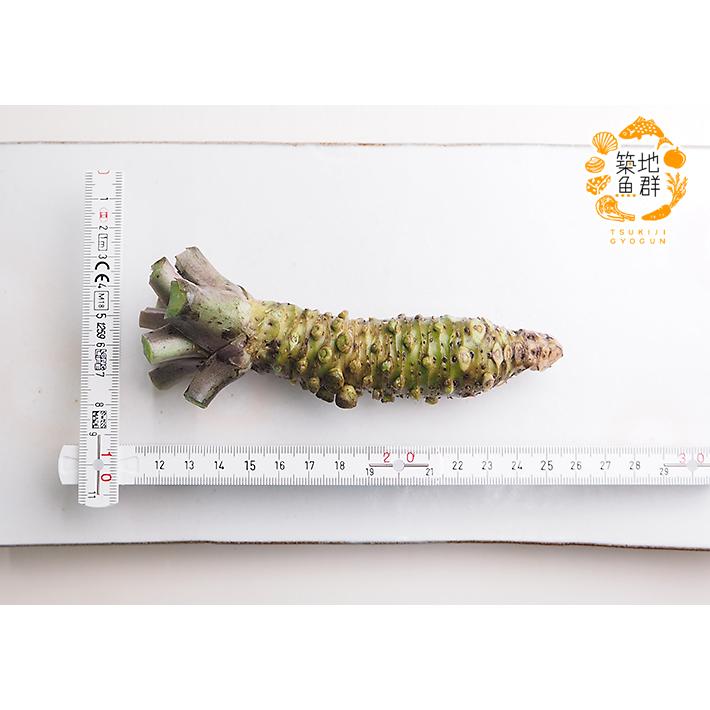 本わさび（静岡水わさび）1本（約50g） 冷蔵便 : 築地魚群 - 通販