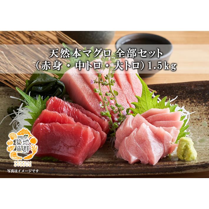 天然本マグロ 全部セット（赤身・中トロ・大トロ） 1.5kg 冷凍便