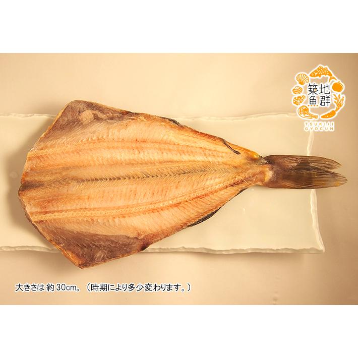 干物ほっけの開き1枚 冷凍便 : 築地魚群 - 通販 - Yahoo!ショッピング