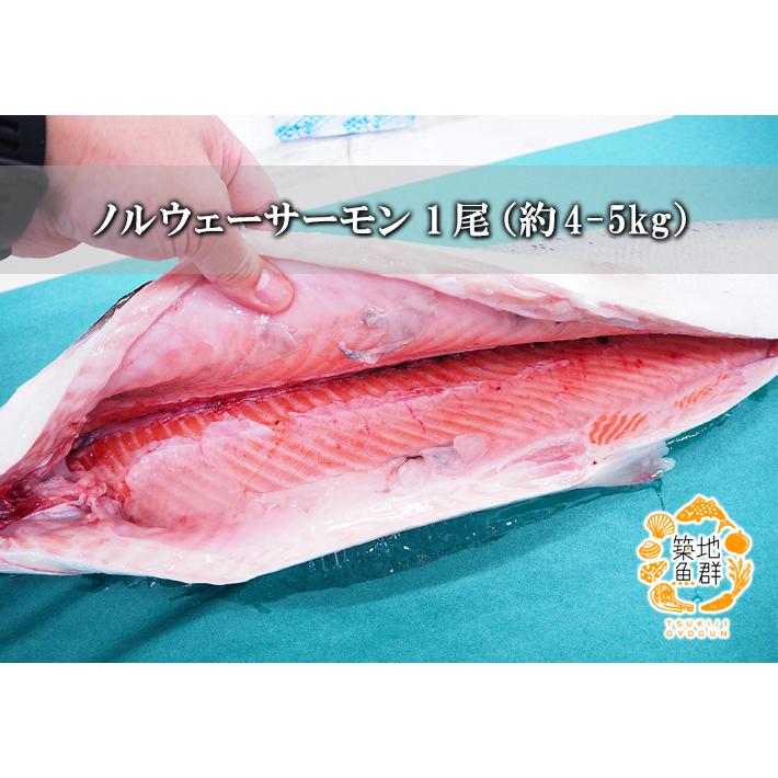 ノルウェーサーモン 1尾（約4-5kg） 　冷蔵便_1