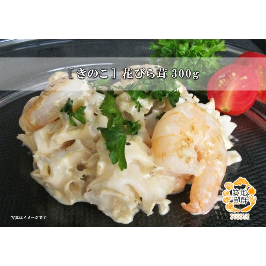 海外限定 きのこ 花びら茸300g 冷蔵便 Supplystudies Com