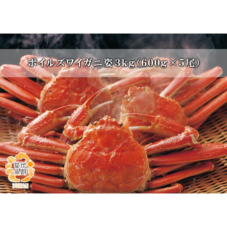 冷凍ボイル　本ズワイガニ5入/3kg(600g×5) 冷凍ボイル 本ズワイガニ5入/3kg(600g×5) 【公式通販】