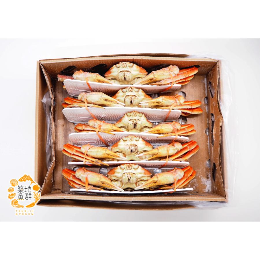 冷凍ボイル　本ズワイガニ/5尾(総重量3.0kg) 冷凍ボイル 本ズワイガニ 5杯/約3.0kg 冷凍ボイル 本ズワイガニ 5杯⁄