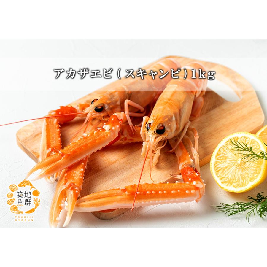 アカザエビ(スキャンピ)1kg 冷凍便 : 築地魚群 - 通販 - Yahoo