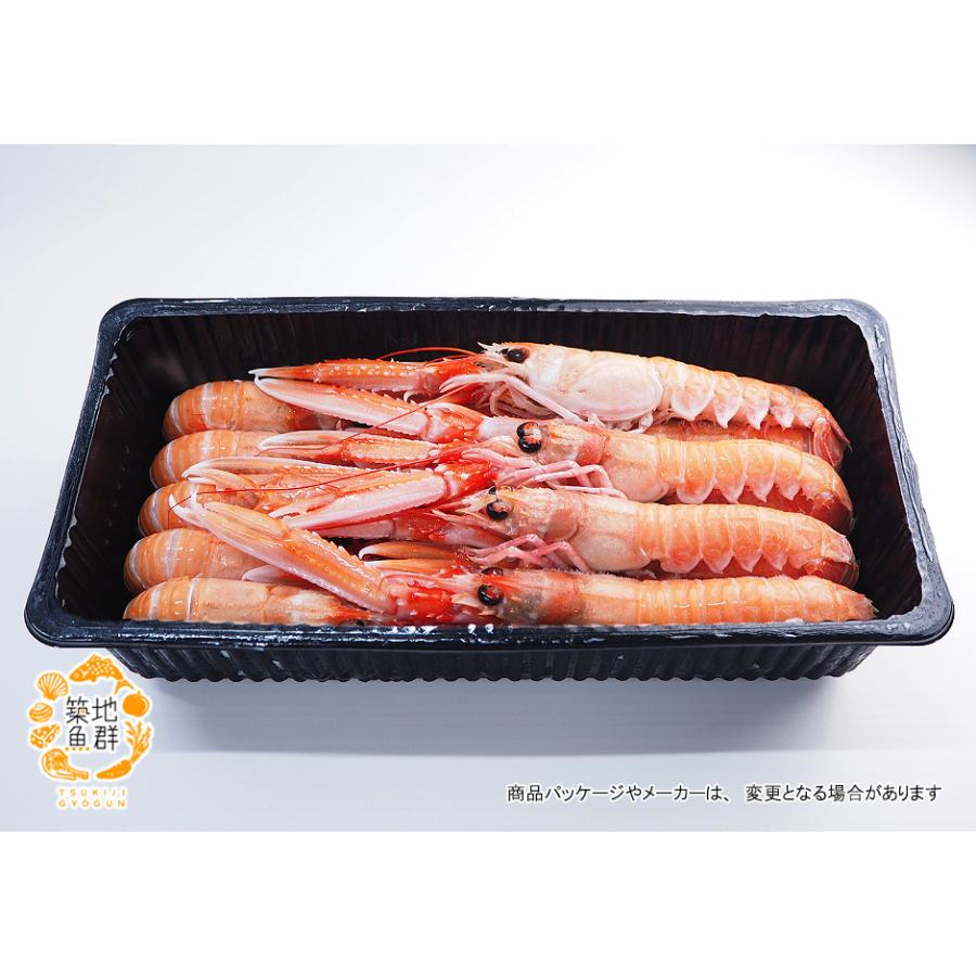 アカザエビ(スキャンピ)1kg 冷凍便 : 築地魚群 - 通販 - Yahoo