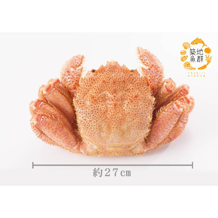 ボイル毛ガニ1杯（1kgサイズ） 冷凍便 : 築地魚群 - 通販 - Yahoo