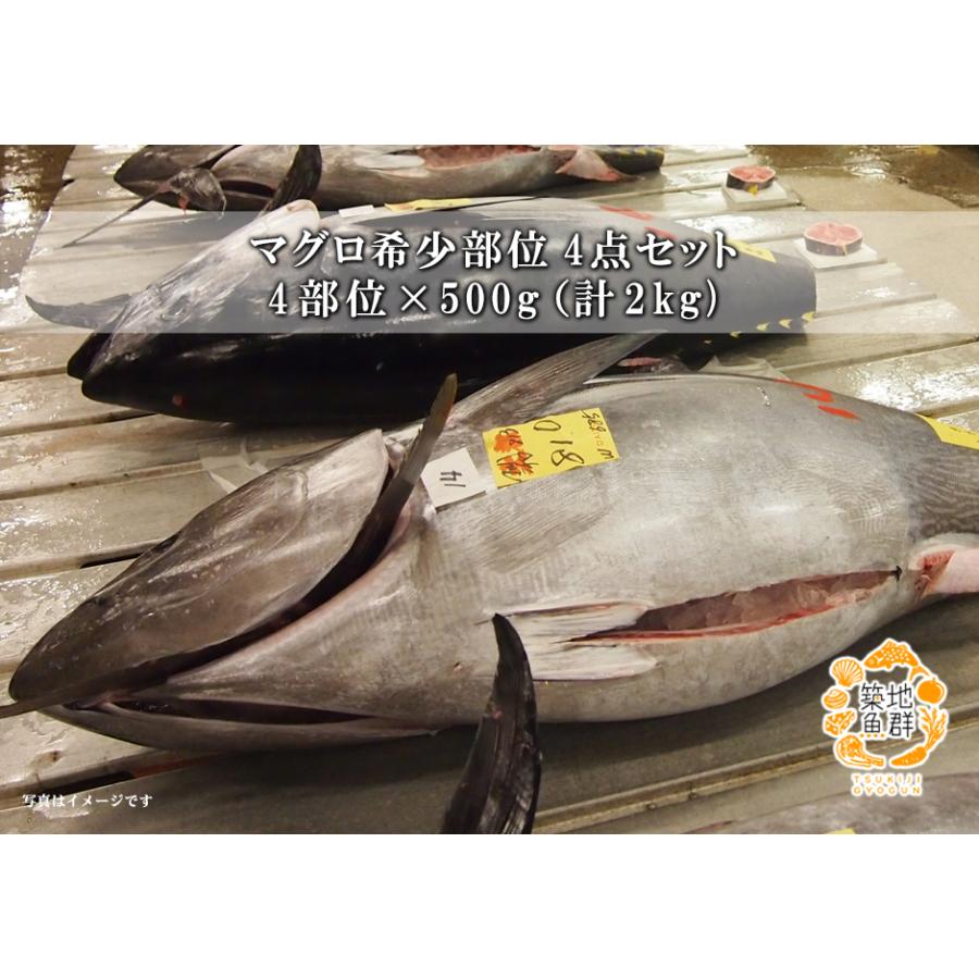 マグロ希少部位4点セット 冷凍便 : 築地魚群 - 通販 - Yahoo!ショッピング